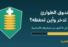 درع أخضر بداخله عملات ذهبية وشريط تقدم مع عنوان صندوق الطوارئ كم تدخر وأين تحفظه - ربيع التقنية