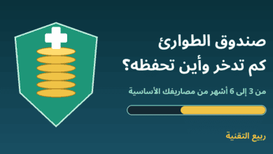 درع أخضر بداخله عملات ذهبية وشريط تقدم مع عنوان صندوق الطوارئ كم تدخر وأين تحفظه - ربيع التقنية