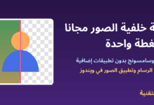 صورة نصفها بخلفية ونصفها بخلفية شفافة توضح إزالة خلفية الصور مجانًا - ربيع التقنية
