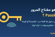 مفتاح وبصمة مع عنوان ما هو مفتاح المرور Passkey - ربيع التقنية